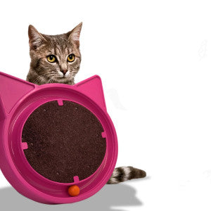 Arranhador para Gatos com Bolinha Interativa Antistress - Rosa